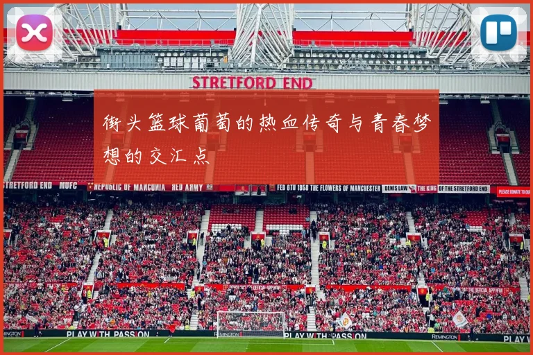 街头篮球葡萄的热血传奇与青春梦想的交汇点