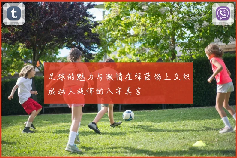 足球的魅力与激情在绿茵场上交织成动人旋律的八字真言
