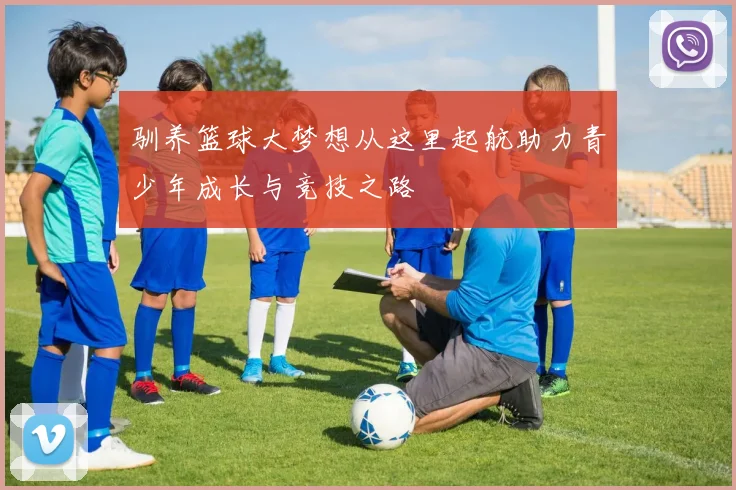 驯养篮球大梦想从这里起航助力青少年成长与竞技之路