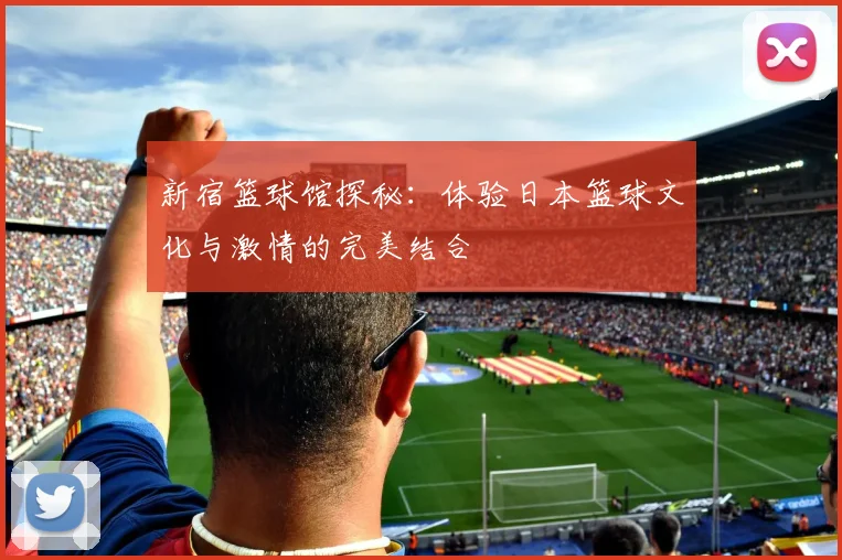 新宿篮球馆探秘：体验日本篮球文化与激情的完美结合