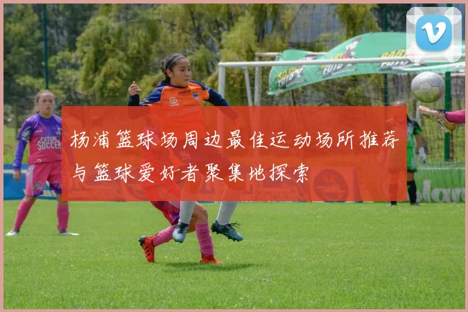 杨浦篮球场周边最佳运动场所推荐与篮球爱好者聚集地探索