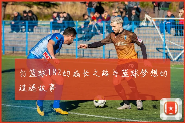 打篮球182的成长之路与篮球梦想的追逐故事
