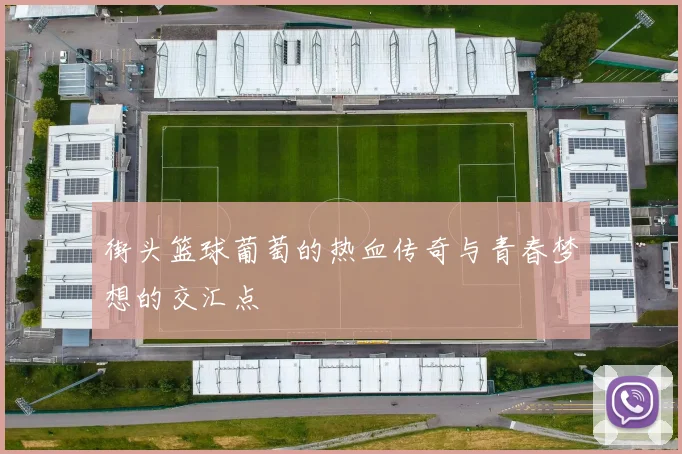 街头篮球葡萄的热血传奇与青春梦想的交汇点