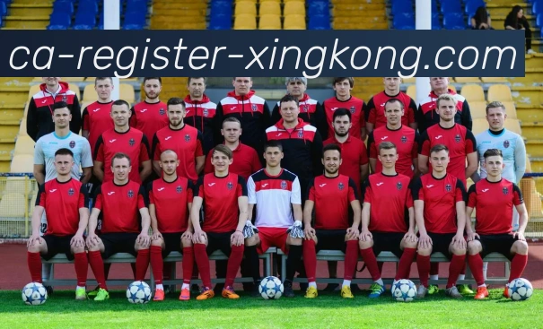 幼儿园小朋友们快乐踢足球的创意画作展示与欣赏